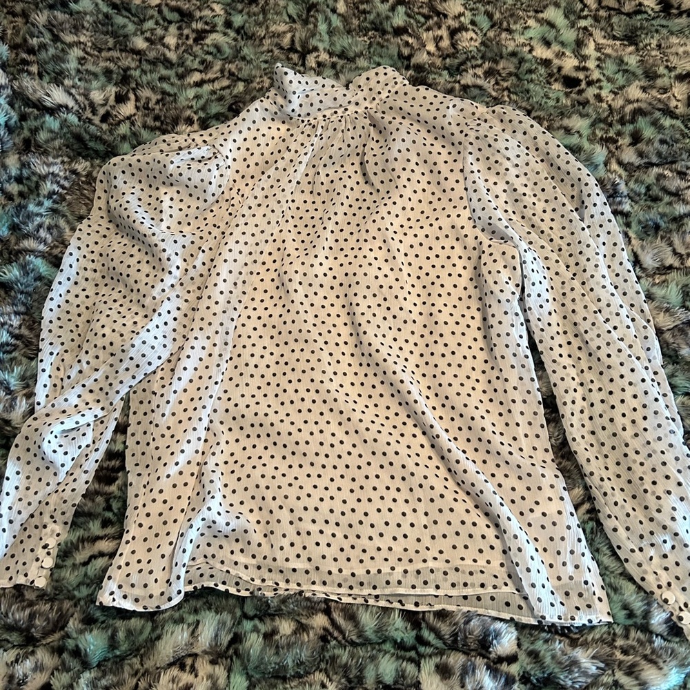 express polka dot blouse
